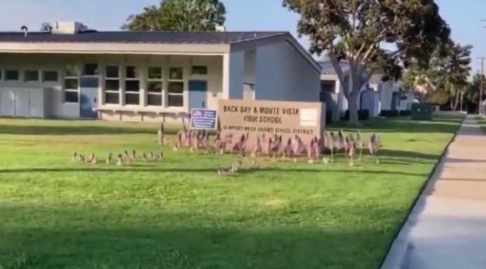 Teacher who rejected The Star-Spangled Banner faces fury as parents decorate the school area with US flags