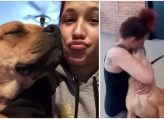 Woman checks shelter adoption site and finds her dog who ran away some two years ago