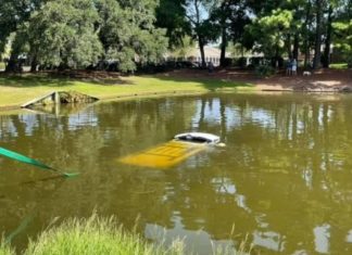 Car flies off road and right into a pond – Trooper jumps in to save man and dog from drowning