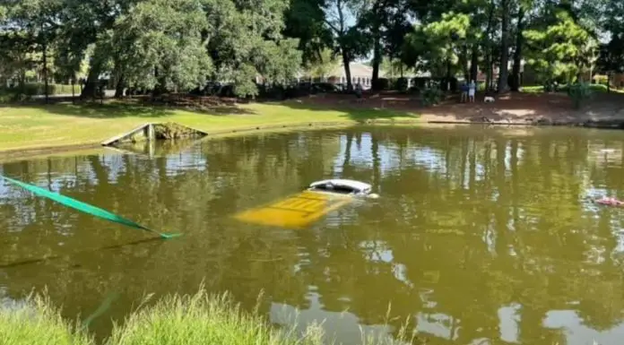 Car flies off road and right into a pond – Trooper jumps in to save man and dog from drowning