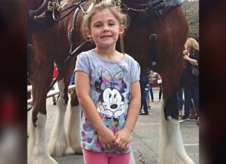 Little girl poses with Clydesdale but the photo turns out to be the ultimate photobomb