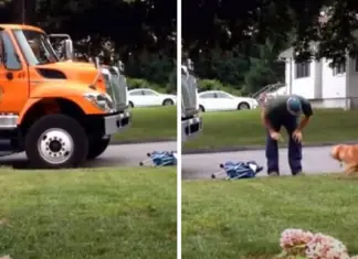 Owner secretly films garbage man approaching his dog