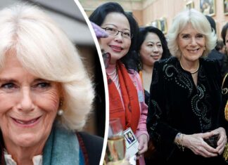 Royal fans are all saying the same thing about latest picture of Camilla