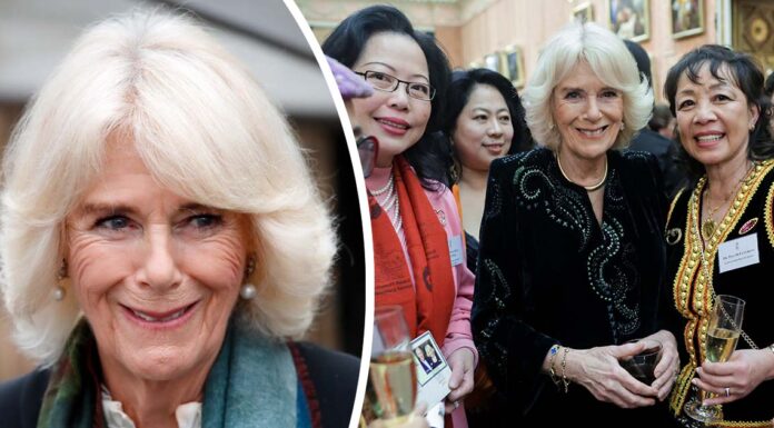 Royal fans are all saying the same thing about latest picture of Camilla