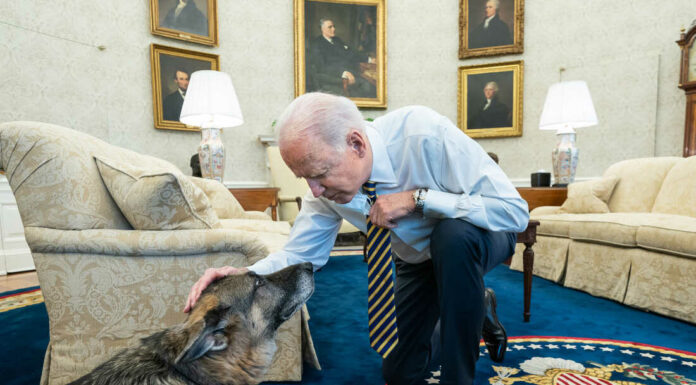 The Bidens have announced the death of Champ, their ‘adoring’ German Shepherd