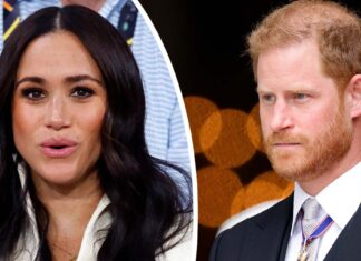 ‘Money-obsessed’ Meghan wants private jet on command – she thought Harry would be worth hundreds of millions, experts claim