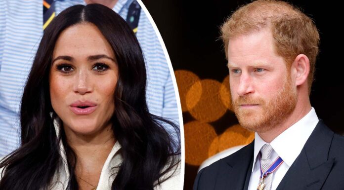 ‘Money-obsessed’ Meghan wants private jet on command – she thought Harry would be worth hundreds of millions, experts claim