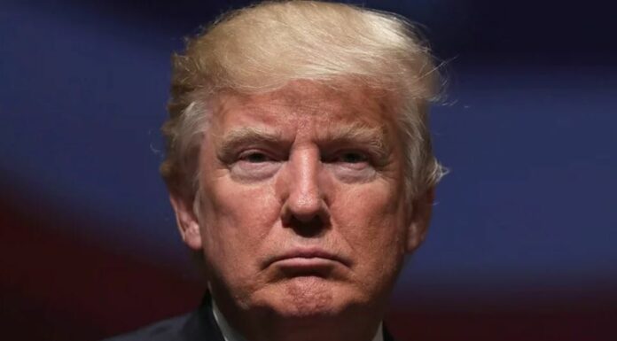 Donald Trump has surrendered in an historic arrest – but not without getting the last word in