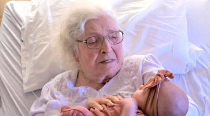 98-year-old Kentucky woman with over 230 great-great-grandchildren meets her great-great-great-grandchild for the first time in amazing photo with 6 generations in it