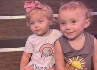 Twin toddlers drown after grandmother with Alzheimer’s leaves door open