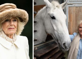 Queen Consort Camilla says she’s ‘too old’ to go horse riding anymore