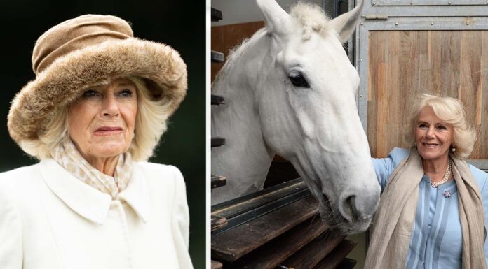 Queen Consort Camilla says she’s ‘too old’ to go horse riding anymore