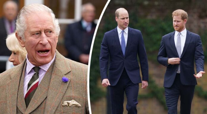 Eight ‘dangerous’ words could bring down King Charles – Royal Family on the ‘brink of collapse,’ expert claims