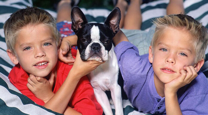 The Sprouse Twins today: Inside their life now, at 30