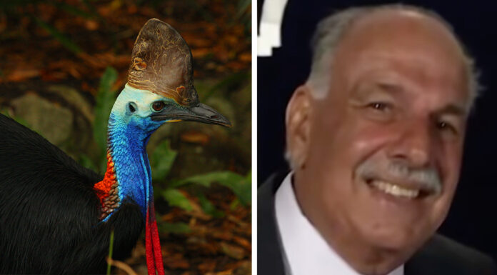 Man approaches world’s most dangerous bird – his 911 call is bone-chilling