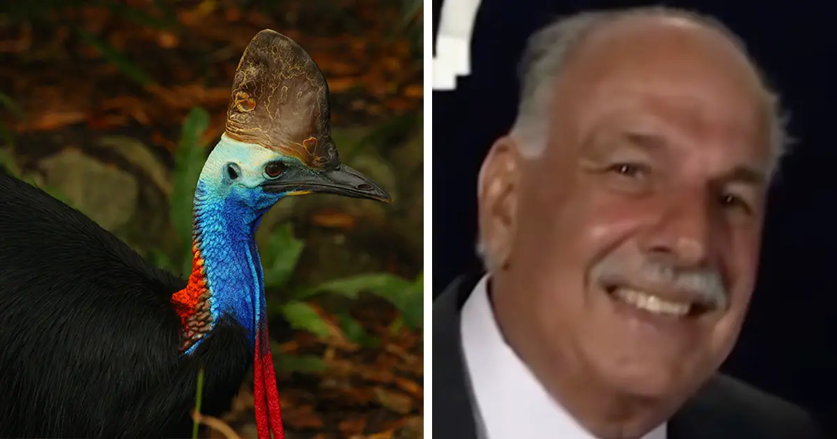 Man approaches world's most dangerous bird – his 911 call is bone ...