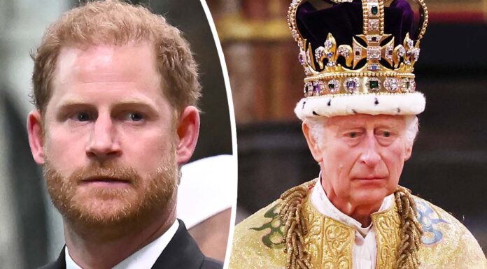 Harry’s 3-word verdict on King Charles at the coronation – he was moaning about his life, according to a lip reader