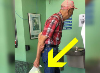 Elderly man drags bag to animal shelter, when she sees what’s inside, her tears flow