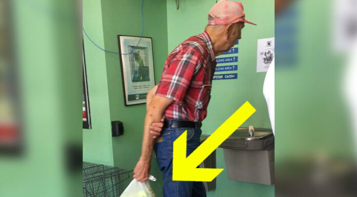 Elderly man drags bag to animal shelter, when she sees what’s inside, her tears flow