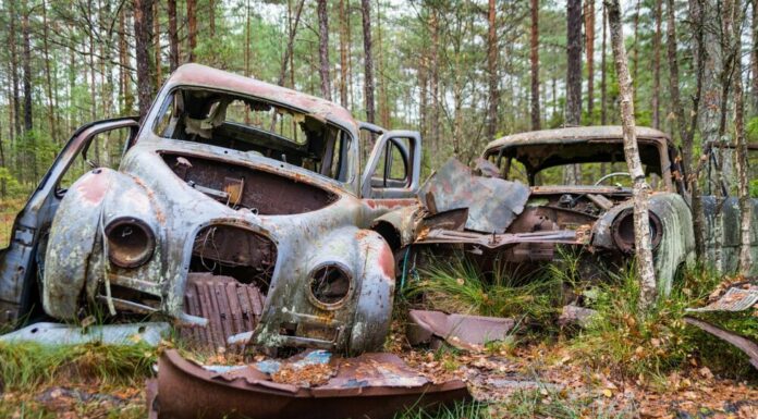 Kid walking through forest finds an abandoned old car, notices an old box with an envelope inside