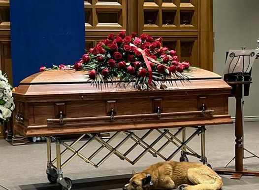 Dog curls up next to Gordon Lightfoot’s casket during memorial service: ‘Gordon loved dogs’