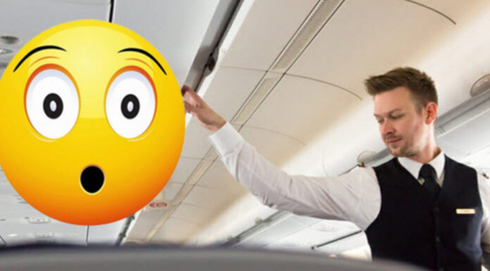 Flight attendant gives hilarious response to an arrogant rich woman