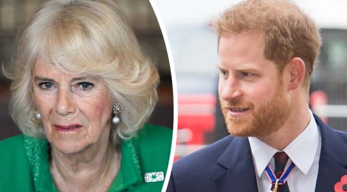Queen Camilla furious at Harry & Meghan during Royal Ascot