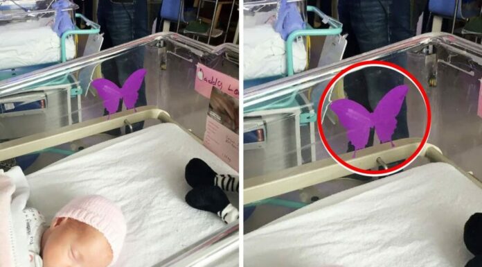 If you see a purple butterfly sticker near a newborn, you need to know what it means