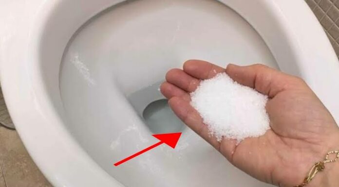 Put salt in the toilet – This is something plumbers will never tell you