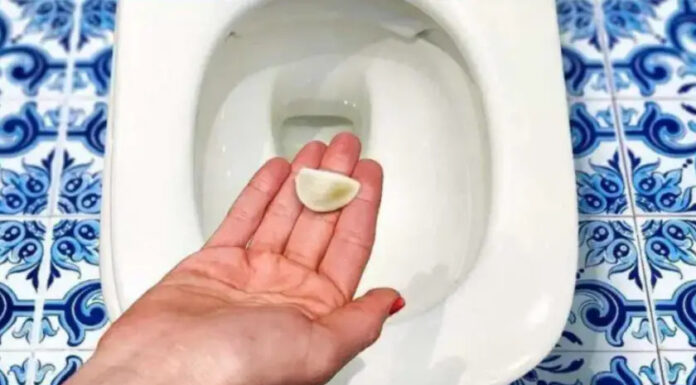 Put a clove of garlic in the toilet before going to bed, here’s what happens to your toilet in the morning