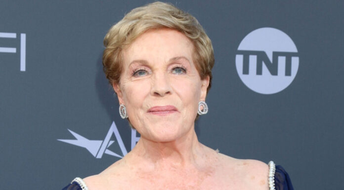 Julie Andrews makes rare public appearance at 87, and everyone’s saying the same thing