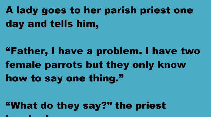 Something strange happened when she put her female parrots in with the priest’s parrots