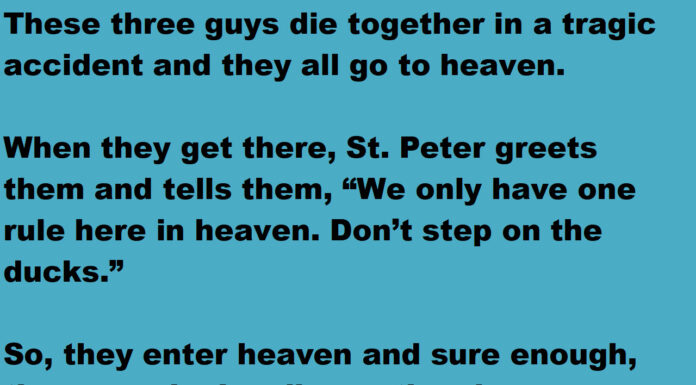 St. Peter warned them not to step on any ducks