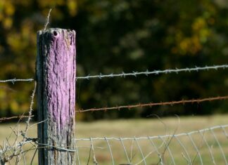 If you see a painted purple fence, this is what it means