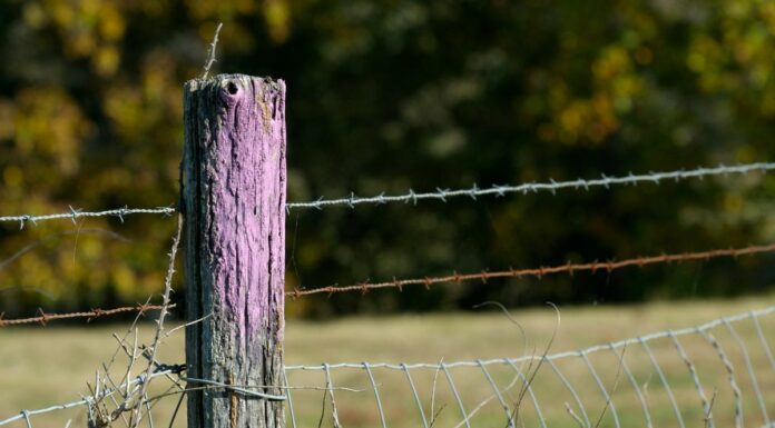If you see a painted purple fence, this is what it means