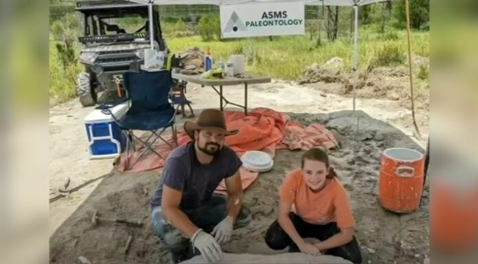 Teen finds fossils on family land: Paleontologists are helping her dig up more!