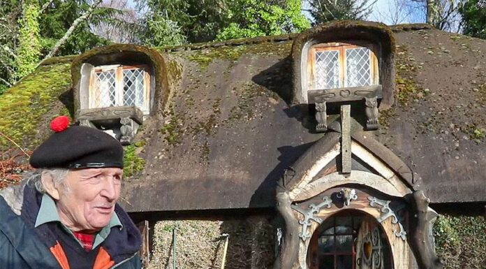 Incredible creation at 90 – This old man amazed the world by building his own Hobbit house