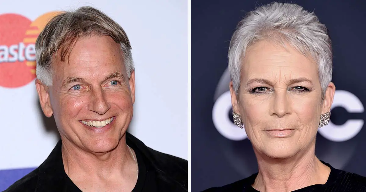 Mark Harmon reveals his true feelings for Jamie Lee Curtis – their bond ...