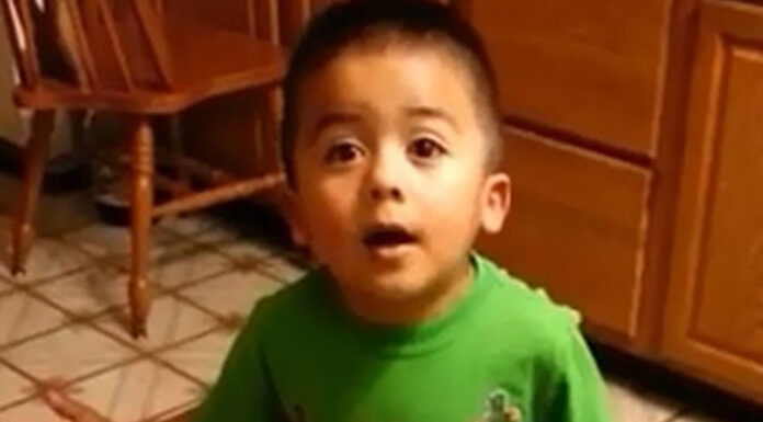 3-year-old ‘listen, Linda’ kid demands cupcakes