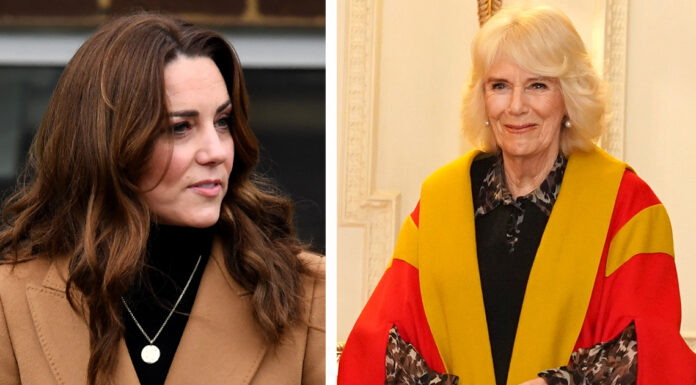 Queen Camilla handed new royal title in midst of King Charles and Kate Middleton’s recovery