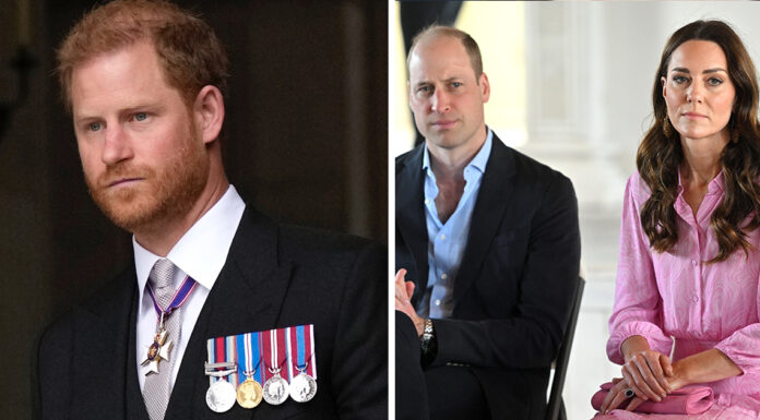 Prince William’s response to Prince Harry after Kate message was not ‘warm’ or ‘informal’ claims expert