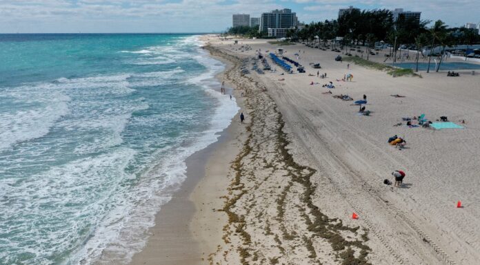 Indiana girl, 7, buried alive playing in hole on south Florida beach