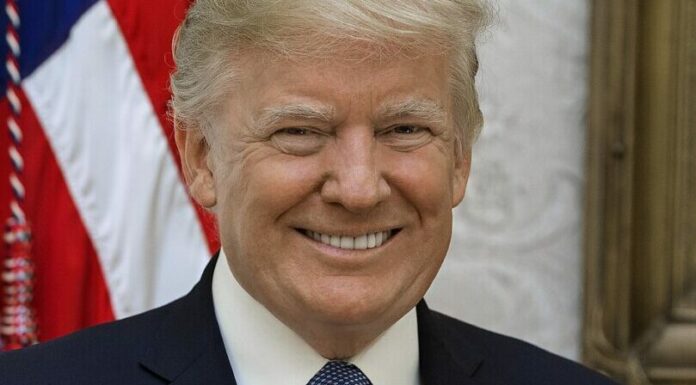 Dermatologist reveals what could be the mystery marks on Trump’s hand