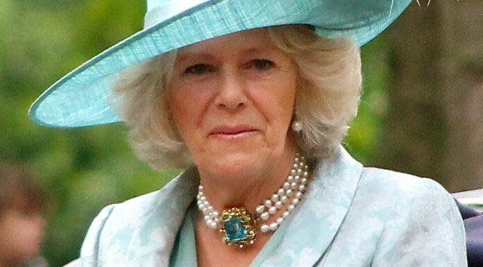 Queen Camilla will take a break from her royal duties after King Charles cancer diagnosis