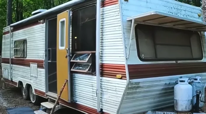 Homeless lady given free ‘ugly’ abandoned trailer, but wait till you see what she made of it