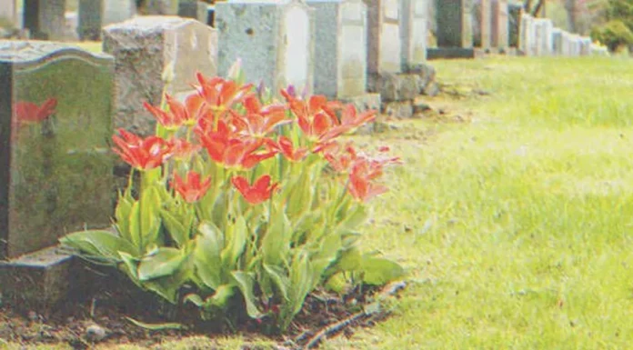 20 years after newborn daughter’s death, man hears, ‘Dad, I finally found you’