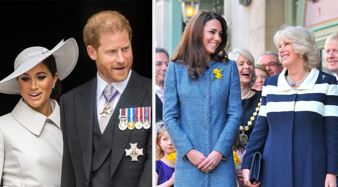 Harry & Meghan attacks have brought Kate, William, Charles, and Camilla closer together, expert says