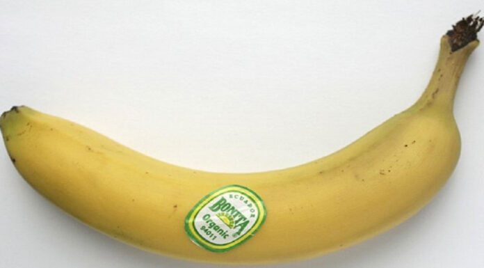 What those numbers on fruit stickers really mean