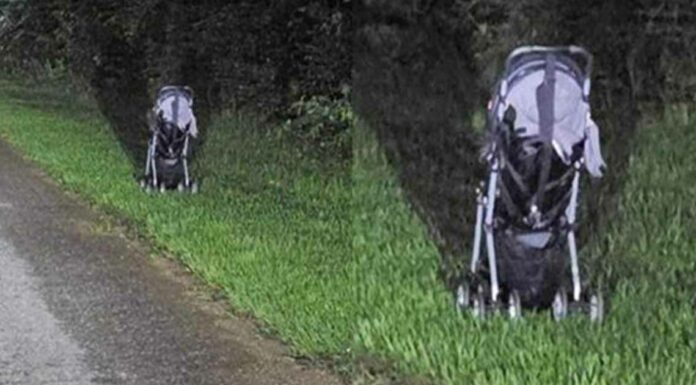 Woman issues terrifying warning after finding a stroller abandoned on the side of the road