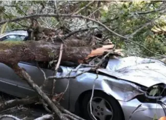 Popular comedian died in a ‘freak’ accident